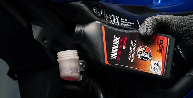 Serviços e Revisão