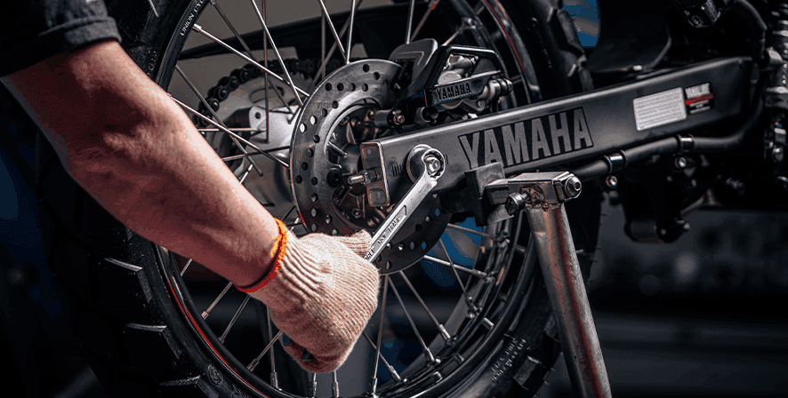 Serviços e Revisão