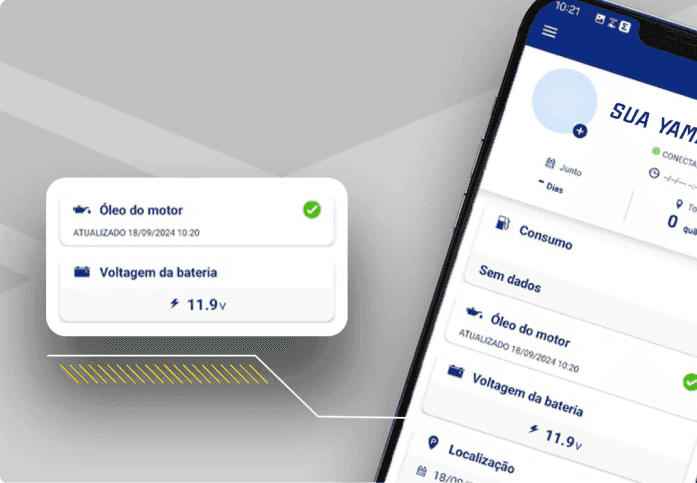 MANUTENÇÕES E CUIDADOS